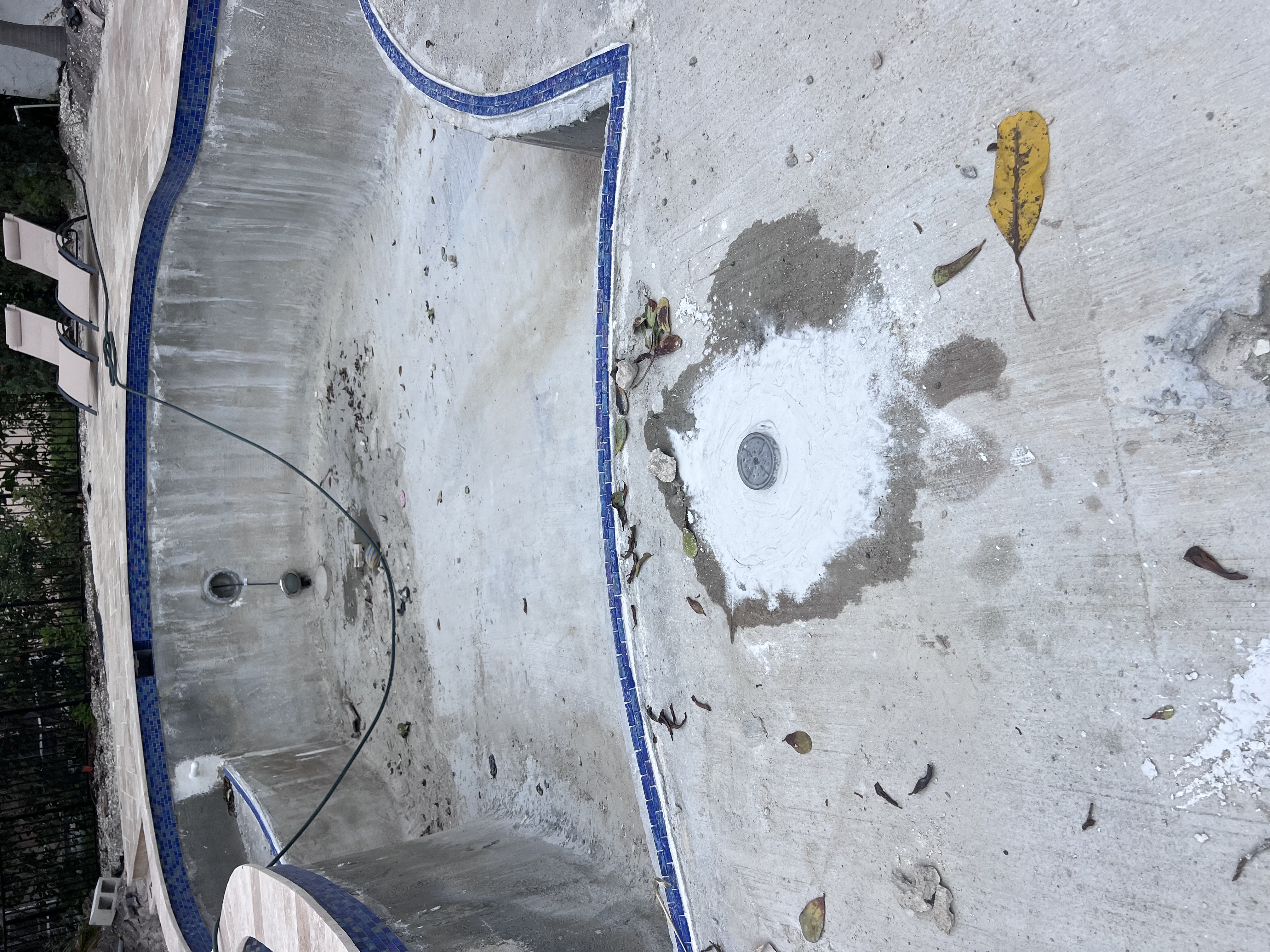 Imagem de Carp Douglas