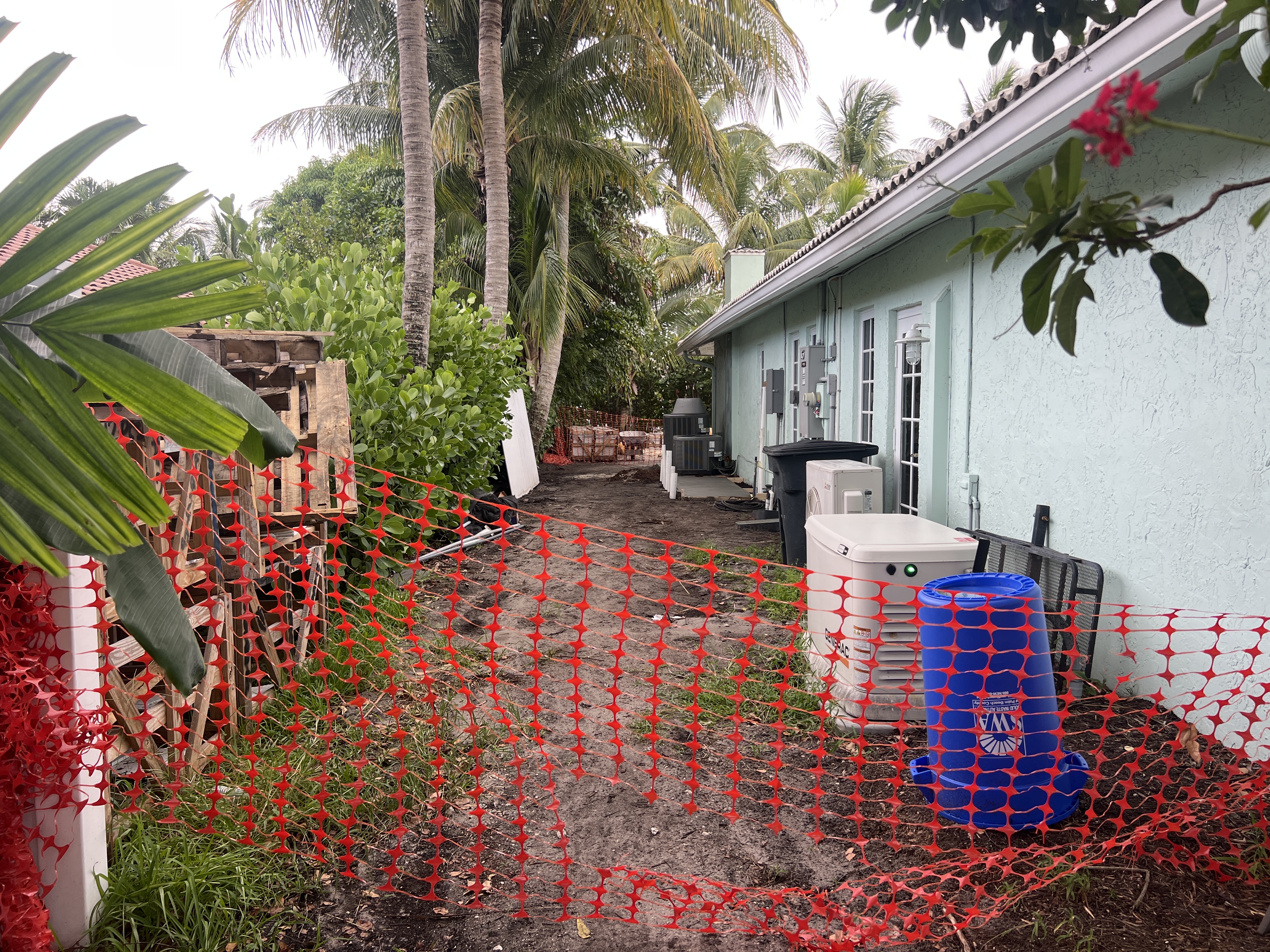 Imagem de Applewhite