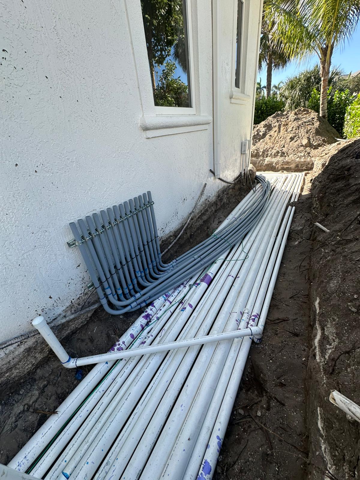 Imagem de Lou Bachrodt